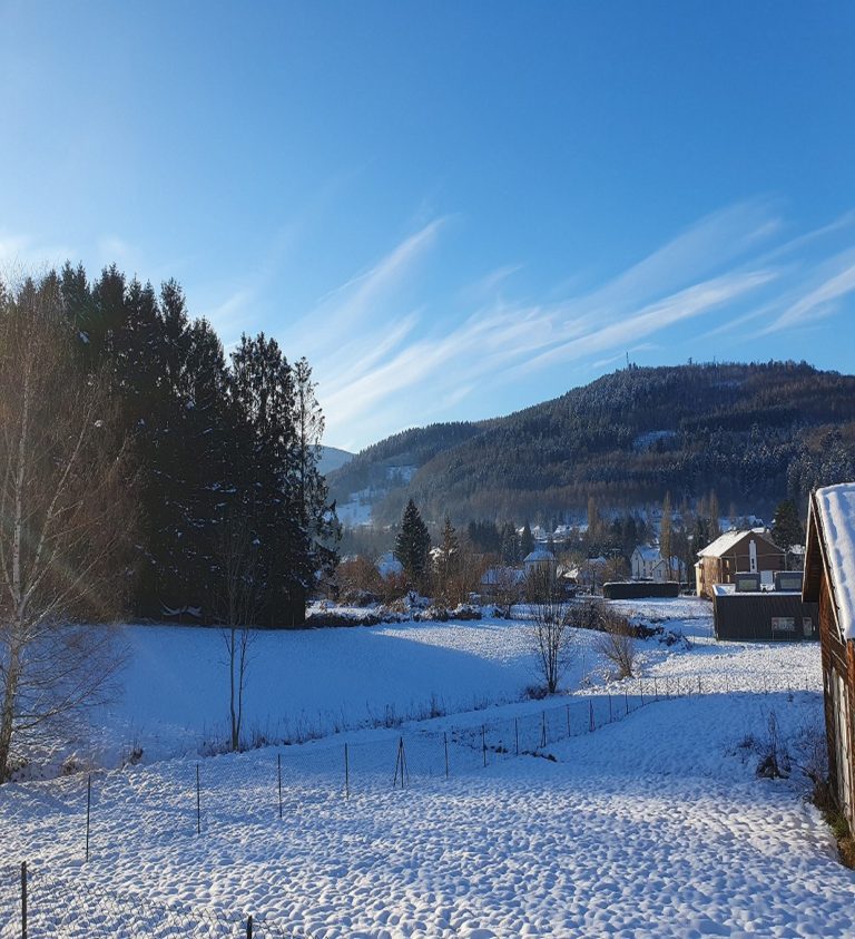 Chalet Vosges neige